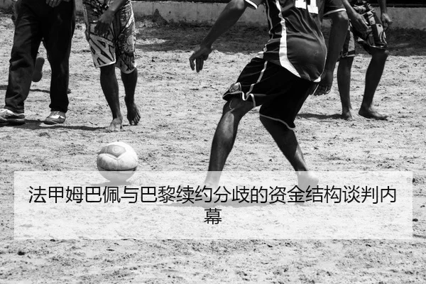 fa-jia-mu-ba-pei-yu-ba-li-xu-yue-fen-qi-de-zi-jin-jie-gou-tan-pan-nei-mu-2-747.jpg